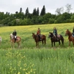 escursione a cavallo experience