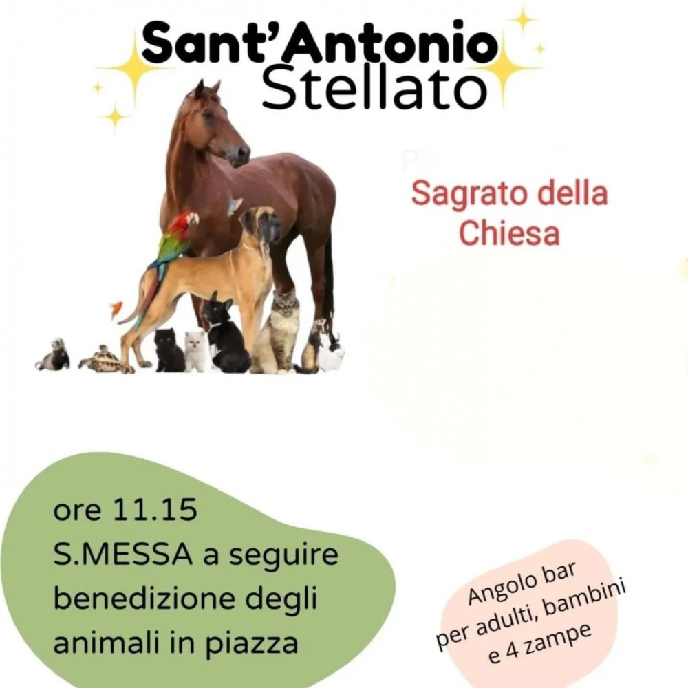 Locandina dell'evento Sant Antonio Stellato a Ponte a Egola