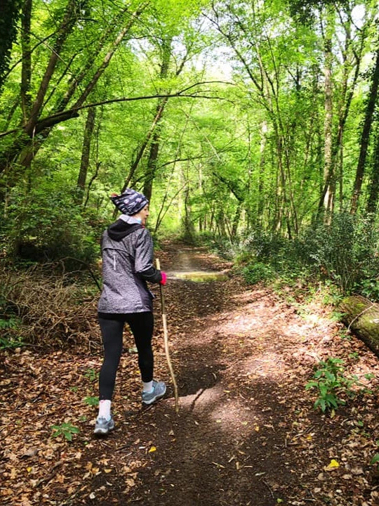 Discover scenic walking paths and nature trails in the green countryside surrounding San Miniato, perfect for outdoor lovers