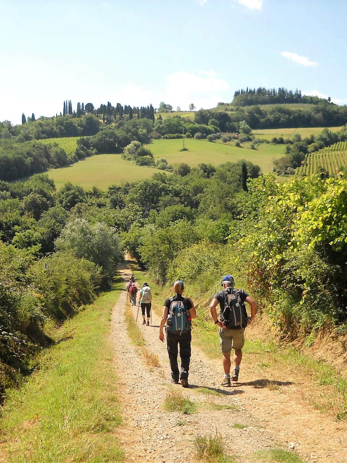 Hiking routes through the iconic Tuscan hills around San Miniato offer breathtaking views and authentic rural landscapes